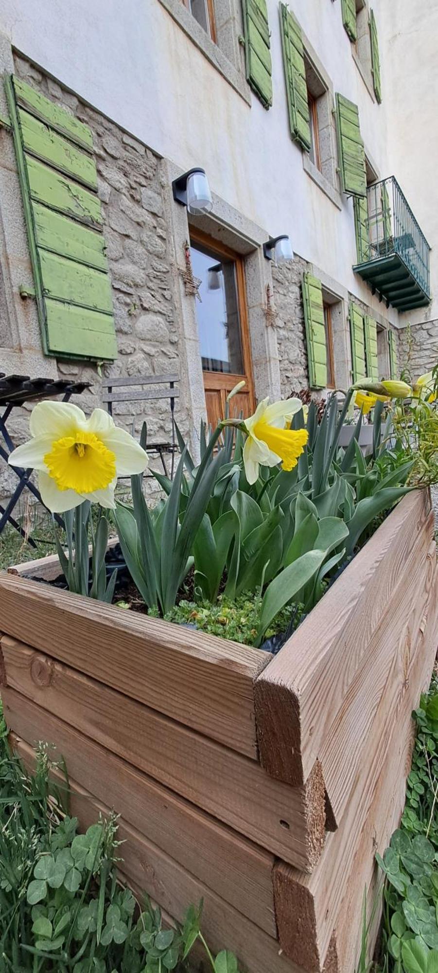 Le Grenier Des Moineaux Font-Romeu-Odeillo-Via Exterior foto
